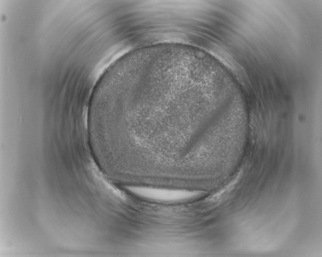 X0000088620790200706151851