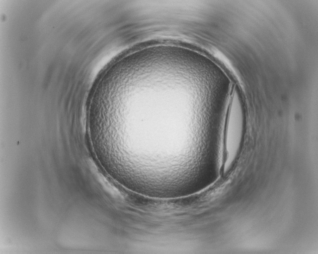 X0000088620791200706151851