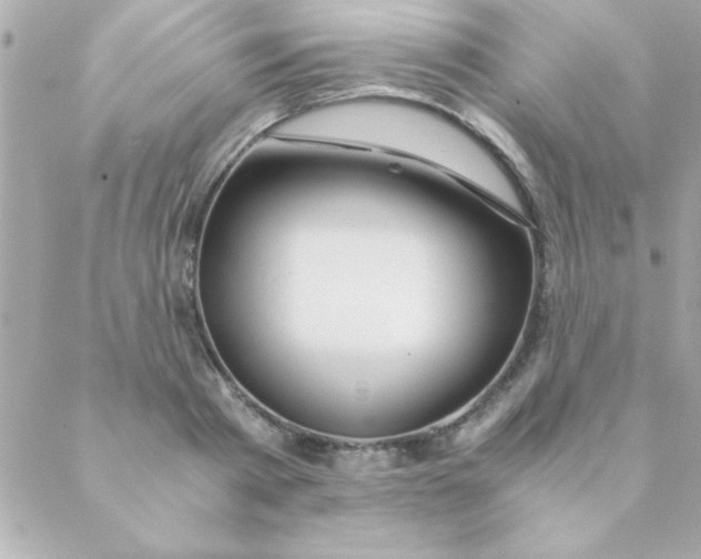 X0000088620793200706151851