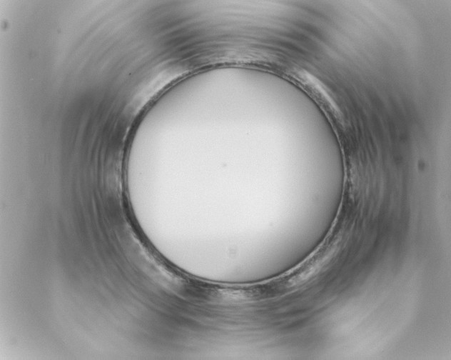 X0000088620794200706151851