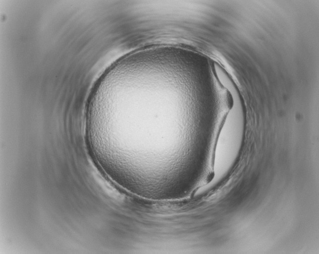 X0000088620795200706151851