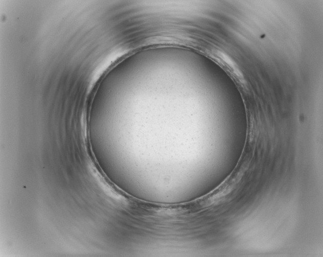 X0000088620796200706151851