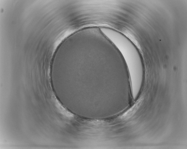 X0000088620797200706151851