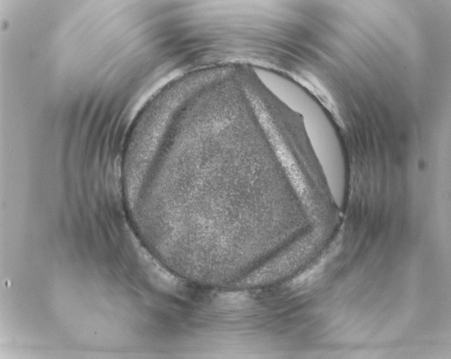 X0000088620798200706151851