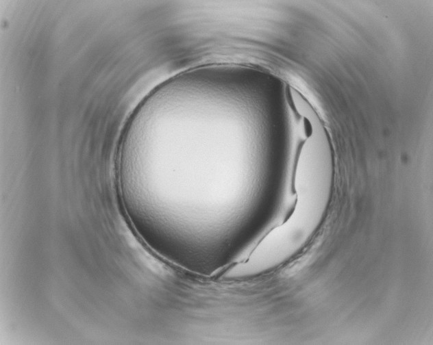 X0000088620803200706151851