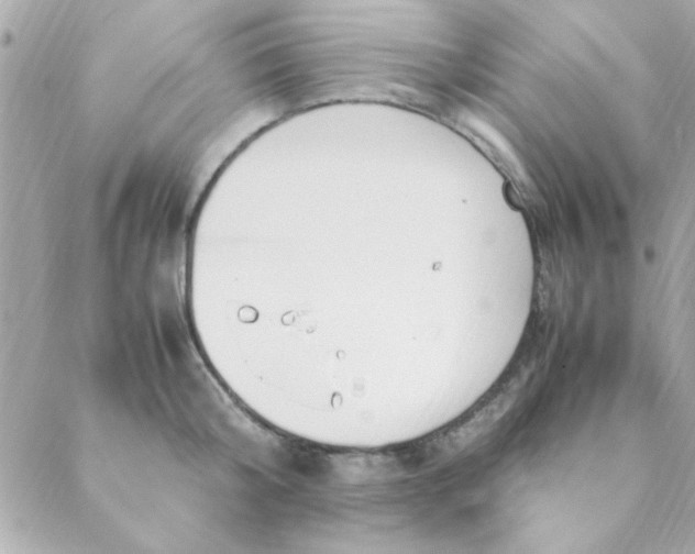 X0000088620804200706151851