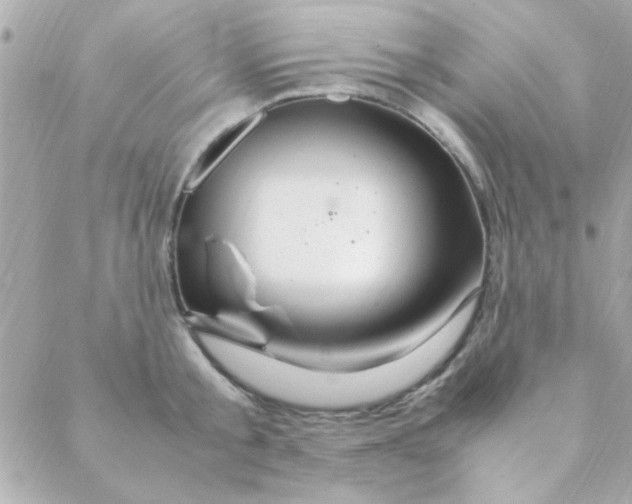 X0000088620805200706151851