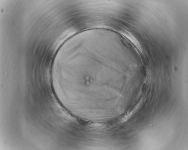 X0000088620806200706151851