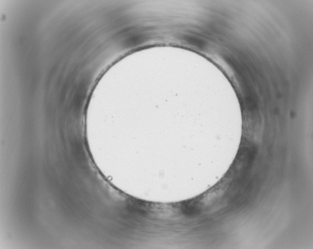 X0000088620807200706151851