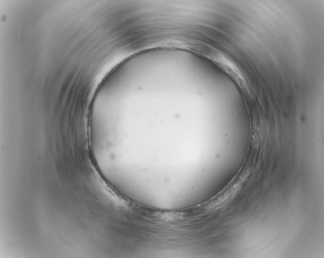 X0000088620808200706151851