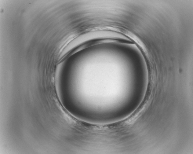 X0000088620809200706151850