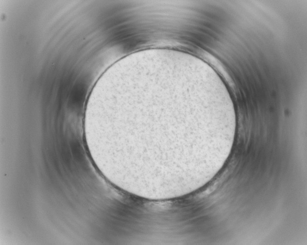 X0000088620810200706151850