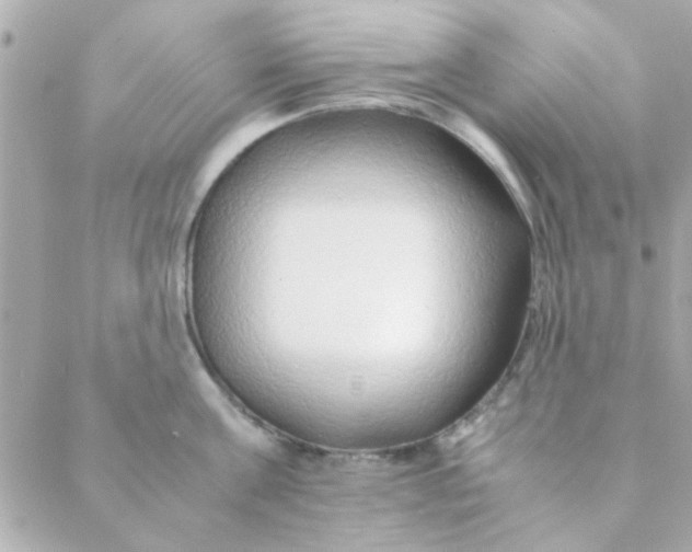 X0000088620811200706151850