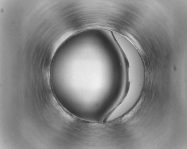 X0000088620812200706151850