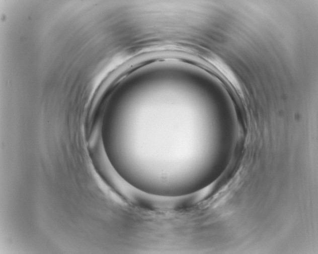 X0000088620813200706151850