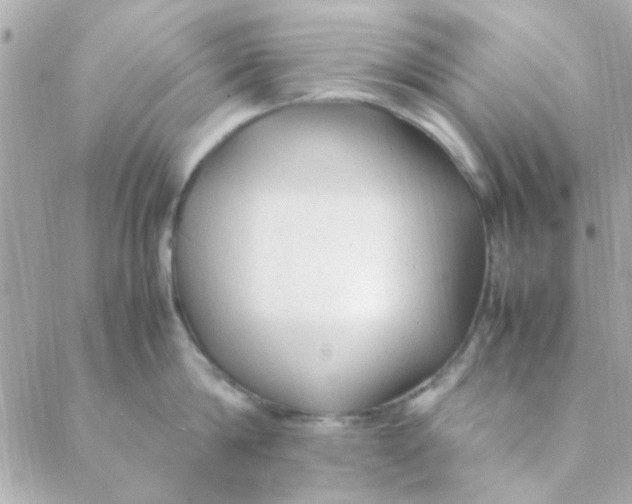 X0000088620814200706151850