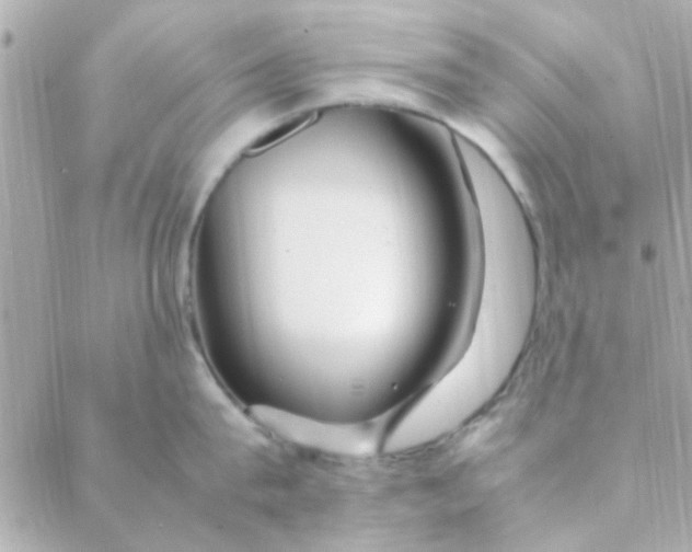 X0000088620815200706151850