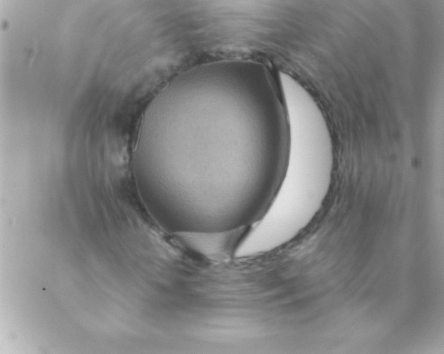 X0000088620818200706151850