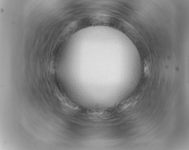 X0000088620819200706151850