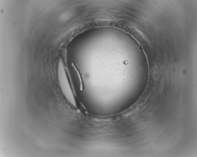 X0000088620821200706151850