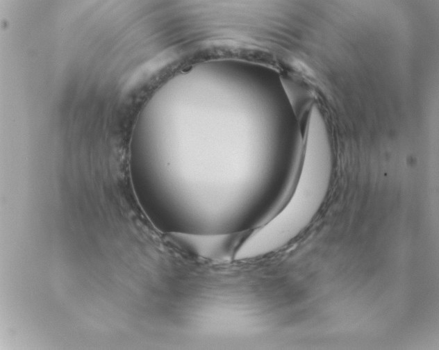 X0000088620822200706151850