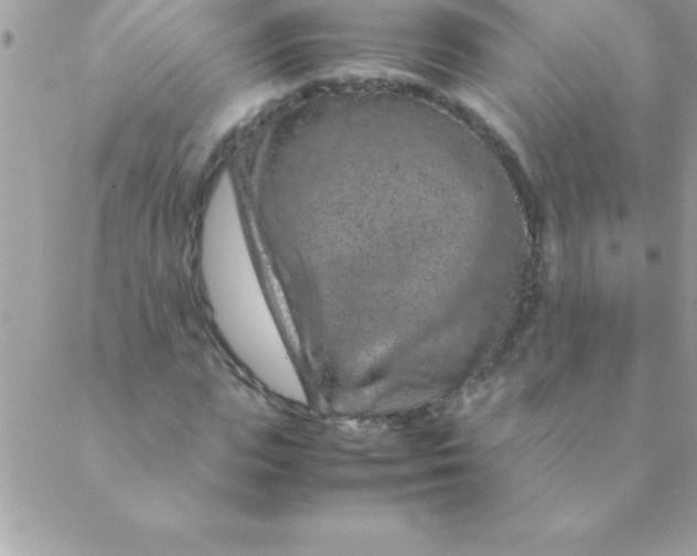 X0000088620823200706151850