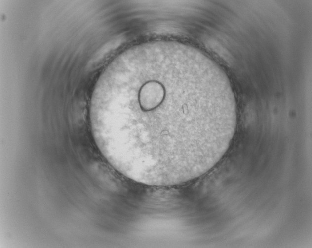 X0000088620824200706151850