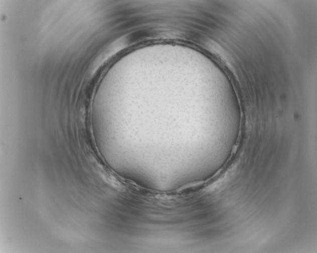 X0000088620827200706151850