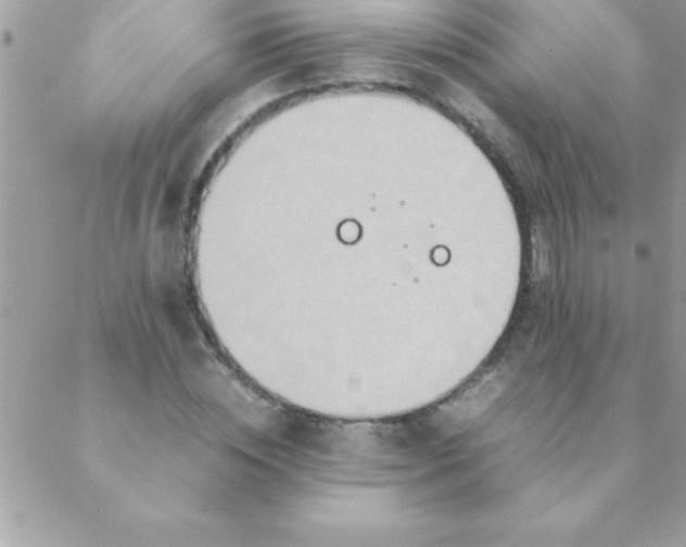 X0000088620828200706151850