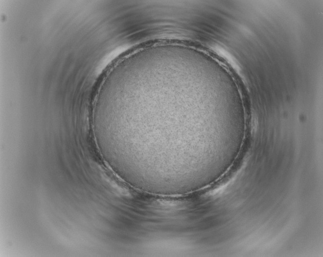 X0000088620829200706151850