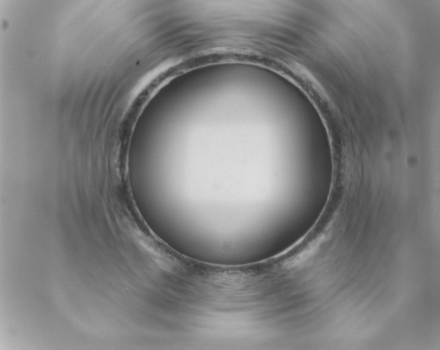 X0000088620830200706151850