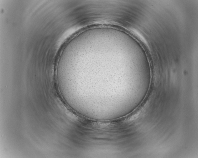 X0000088620831200706151850