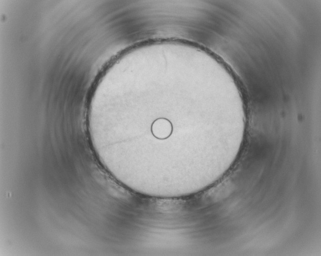 X0000088620832200706151850