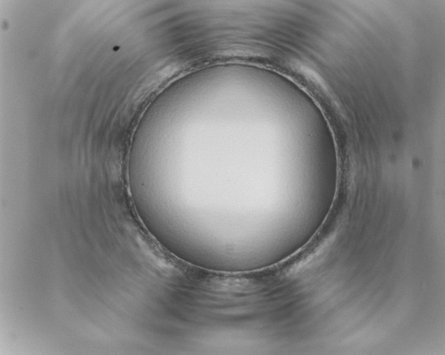 X0000088620833200706151850