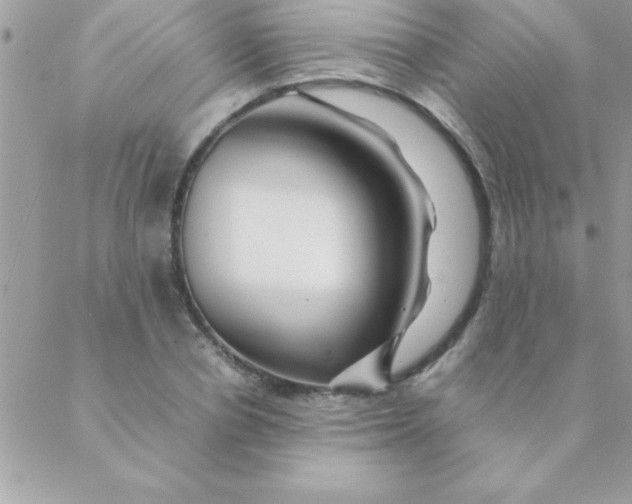 X0000088620834200706151850