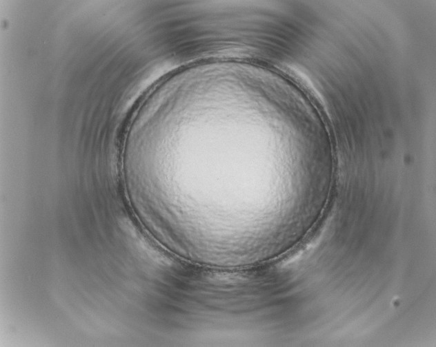 X0000088620835200706151850