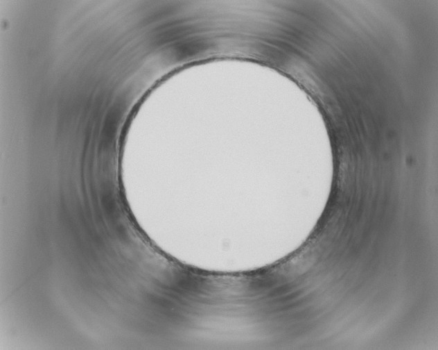 X0000088620836200706151850