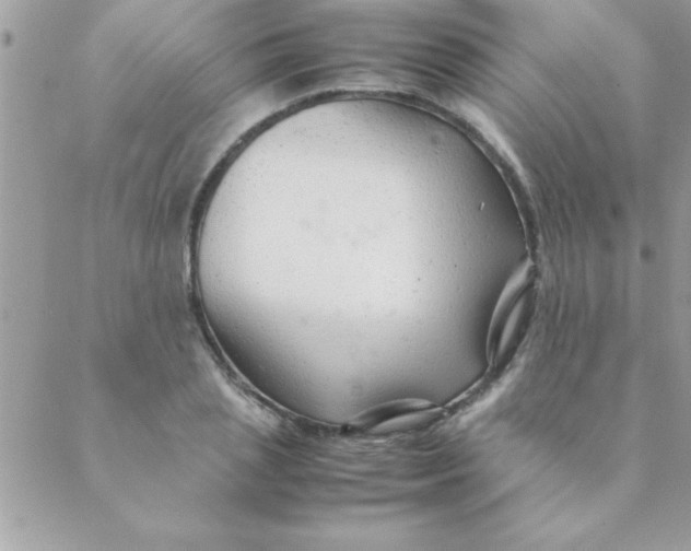 X0000088620837200706151850