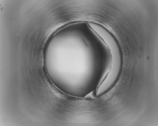 X0000088620838200706151850