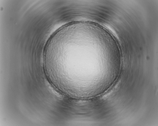 X0000088620839200706151850