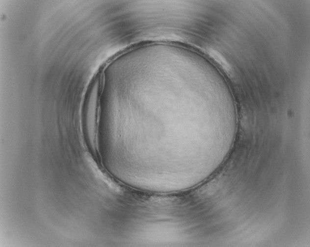 X0000088620840200706151850