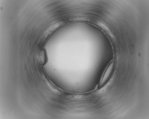 X0000088620841200706151850