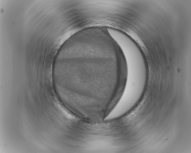 X0000088620842200706151850