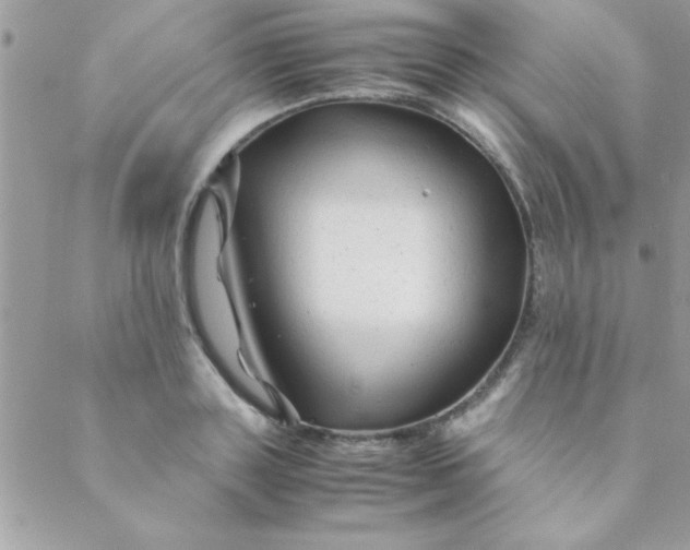 X0000088620843200706151850