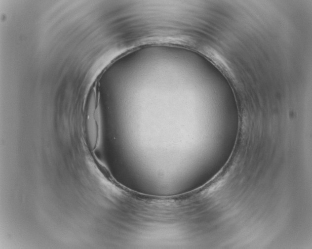 X0000088620844200706151850