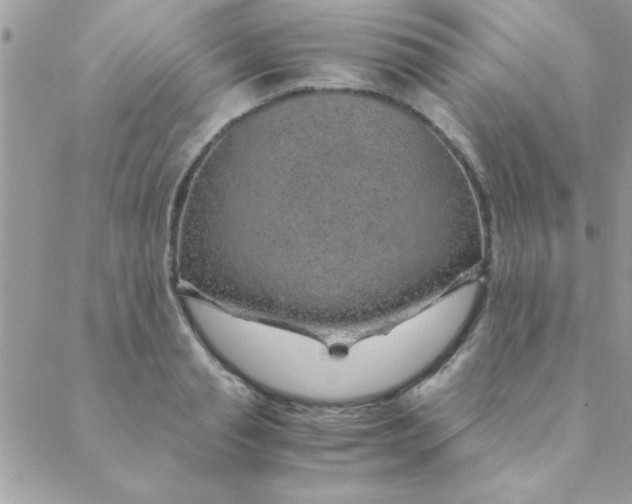 X0000088620845200706151850