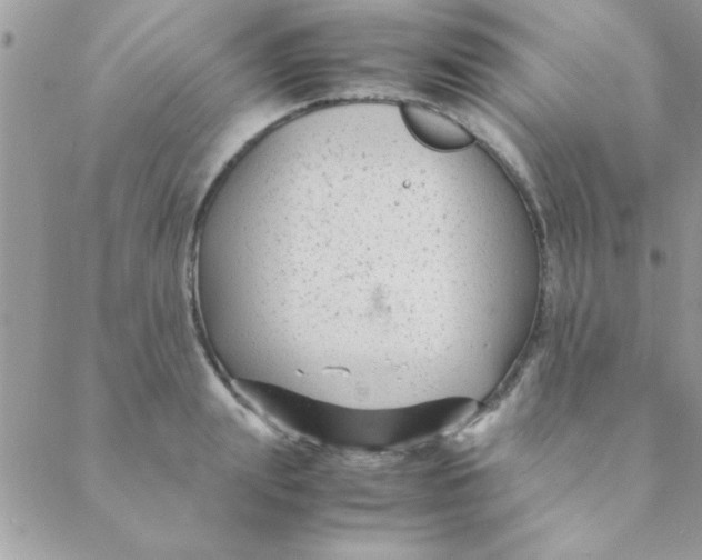 X0000088620847200706151850