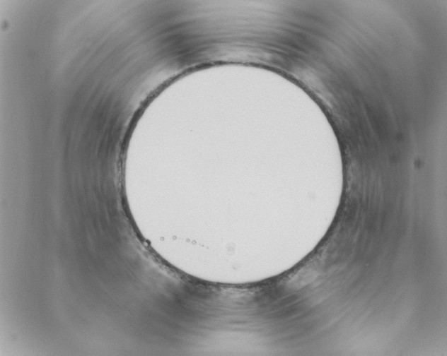 X0000088620848200706151850