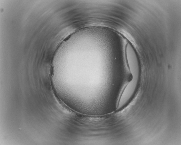 X0000088620849200706151850