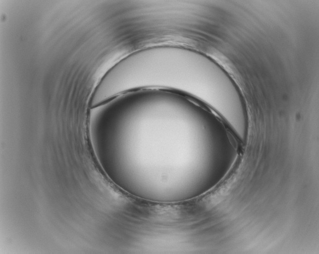 X0000088620850200706151850